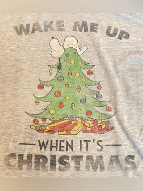 Peanuts Snoopy Wake Me Up When It’s Christmas Raglan Shirt Black Gray Large Wome